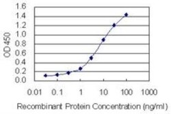 Calumenin Antibody (6C8), Novus Biologicals 0.1 mg | Buy Online | Novus Biologicals | Fisher Scientific