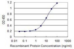Carbohydrate Sulfotransferase 3/CHST3 Antibody (1D3), Novus Biologicals 0.1 mg | Buy Online | Novus Biologicals | Fisher Scientific