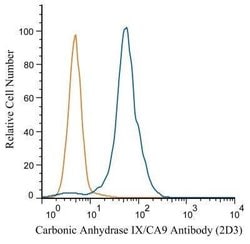Carbonic Anhydrase IX/CA9 Antibody (2D3) - Azide and BSA Free, Novus Biologicals
