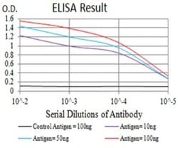 Centaurin alpha 1 Antibody (3E2D9) - BSA Free, Novus Biologicals 0.1 ml;