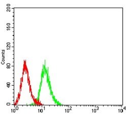 Centaurin alpha 1 Antibody (3E2D9) - BSA Free, Novus Biologicals 0.1 ml;