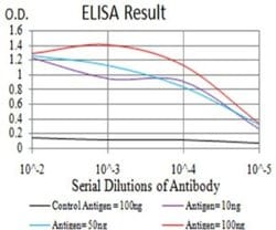 Chorionic Gonadotropin beta Chain (hCG beta) Antibody (4B8B3) - BSA Free,