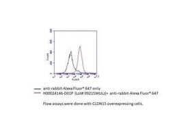 Claudin-15 Antibody, Novus Biologicals 0.1 mg | Buy Online | Novus Biologicals | Fisher Scientific
