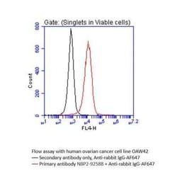 Claudin-16 Antibody - BSA Free, Novus Biologicals 0.02 mL, Unconjugated:Antibodies,
