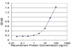 Cleavage stimulation factor 2 Antibody (4E3-3C9), Novus Biologicals 0.1 mg | Buy Online | Novus Biologicals | Fisher Scientific