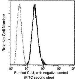 Clusterin/APOJ Rabbit anti-Human, Clone: 13, Novus Biologicals 100 &mu;g;