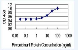 Coactosin-like Protein 1/CotL1 Antibody (1A2), Novus Biologicals 100 &mu;g | Buy Online | Novus Biologicals | Fisher Scientific