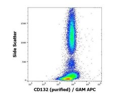 Common gamma Chain/IL-2 R gamma Antibody (TUGh4) - BSA Free, Novus Biologicals 0.1 mg | Buy Online | Novus Biologicals | Fisher Scientific
