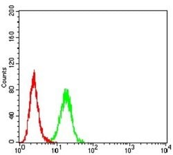Complement Component C1qC Antibody (4H9D7) - BSA Free, Novus Biologicals:Antibodies:Primary