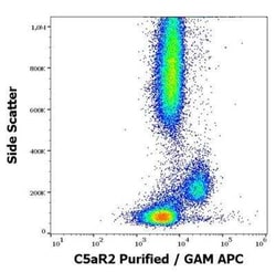 Complement Component C5aR2 Antibody (1D9-M12), Novus Biologicals 0.1 mg | Buy Online | Bio-Techne | Fisher Scientific
