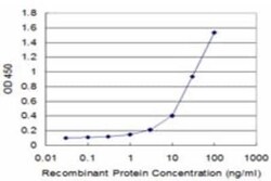 Complement Factor H-related 1/CFHR1/CFHL1 Antibody (4D7), Novus Biologicals 0.1 mg | Buy Online | Novus Biologicals | Fisher Scientific