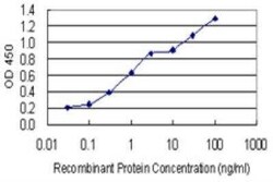 Connexin 36/GJD2 Antibody (5E5), Novus Biologicals 100 &mu;g | Buy Online | Novus Biologicals | Fisher Scientific