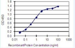 Connexin 50/GJA8 Antibody (8A10), Novus Biologicals 100 &mu;g | Buy Online | Novus Biologicals | Fisher Scientific