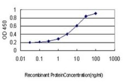 Coronin-1a Antibody (4G10), Novus Biologicals 0.1 mg | Buy Online | Novus Biologicals | Fisher Scientific