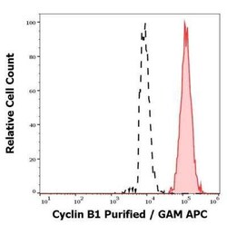 Cyclin B1 Antibody (V152) - BSA Free, Novus Biologicals 0.1 mg | Buy Online | Novus Biologicals | Fisher Scientific