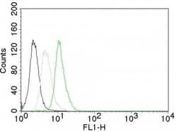Cyclin D1 Antibody (CCND1/809), Novus Biologicals 0.1mg; Unlabeled:Antibodies,