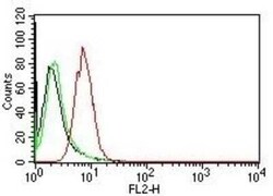 Cyclin D1 Antibody (CCND1/809), Novus Biologicals 0.1mg; Unlabeled:Antibodies,