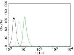 Cyclin D1 Antibody (CCND1/809), Novus Biologicals 0.1mg; Unlabeled:Antibodies,