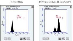 Cyclin D1 Antibody (DCS-6), Novus Biologicals:Antibodies:Primary Antibodies