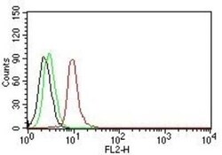 Cyclin D1 Antibody (DCS-6), Novus Biologicals:Antibodies:Primary Antibodies