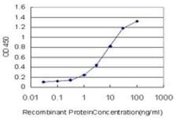 Cyclophilin-E Antibody (2F5), Novus Biologicals 0.1 mg, Unconjugated:Antibodies,