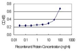 Cystatin SA Antibody (4E10), Novus Biologicals 0.1 mg | Buy Online | Novus Biologicals | Fisher Scientific