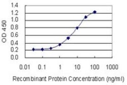 Cytochrome P450 1A2 Antibody (4B3), Novus Biologicals 0.1 mg | Buy Online | Novus Biologicals | Fisher Scientific