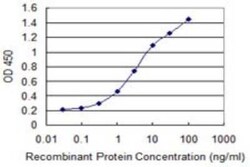 Cytochrome P450 26B1 Antibody (2G7), Novus Biologicals 0.1 mg | Buy Online | Novus Biologicals | Fisher Scientific