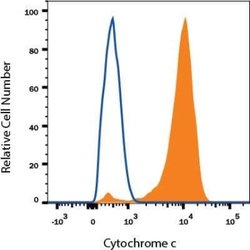 Cytochrome c Antibody (7H8.2C12) - Azide and BSA Free, Novus Biologicals