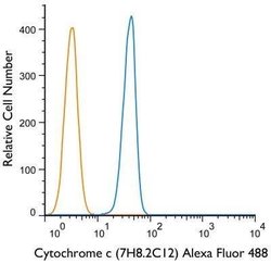 Cytochrome c Antibody (7H8.2C12) - Azide and BSA Free, Novus Biologicals