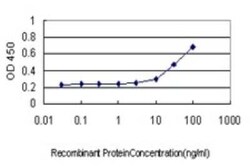 Cytohesin 3 Antibody (6D3-1A9), Novus Biologicals 0.1 mg | Buy Online | Novus Biologicals | Fisher Scientific