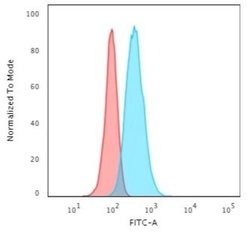 Cytokeratin 13 Antibody (KRT13/2659) - Azide and BSA Free, Novus Biologicals 100 &mu;g | Buy Online | Novus Biologicals | Fisher Scientific