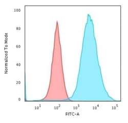 Cytokeratin 19 Antibody (KRT19/799), Novus Biologicals:Antibodies:Primary