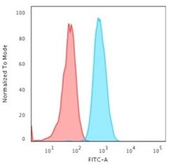 Cytokeratin 4 Antibody (KRT4/2804) - Azide and BSA Free, Novus Biologicals