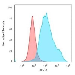 Cytokeratin 7 Antibody (KRT7/760), Novus Biologicals:Antibodies:Primary