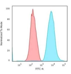 Cytokeratin 7 Antibody (SPM270), Novus Biologicals:Antibodies:Primary Antibodies