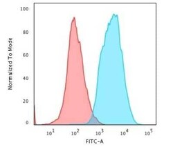 Cytokeratin, pan Antibody (PAN-CK (Cocktail)), Novus Biologicals:Antibodies:Primary