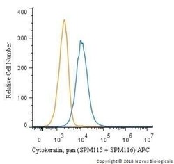 Cytokeratin, pan Antibody (SPM115 + SPM116) - Azide and BSA Free, Novus Biologicals 0.1 mg | Buy Online | Novus Biologicals | Fisher Scientific