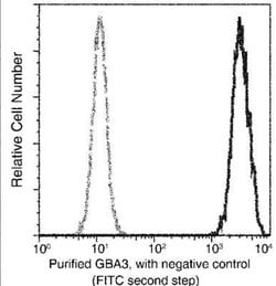 Cytosolic beta-Glucosidase/GBA3 Rabbit anti-Human, Clone: 8, Novus Biologicals