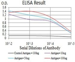 DAB2 Antibody (2H7C4) - BSA Free, Novus Biologicals:Antibodies:Primary