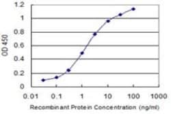 Novus Biologicals DAZAP1 Antibody (2F6), Novus Biologicals 0.1 mg | Buy Online | Novus Biologicals&trade; | Fisher Scientific