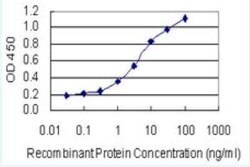 DAZAP2 Antibody (8G5), Novus Biologicals 100 &mu;g | Buy Online | Novus Biologicals | Fisher Scientific