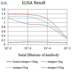 DC-SIGN/CD209 Antibody (5C2A6) - BSA Free, Novus Biologicals 0.1 ml; Unconjugated:Antibodies,