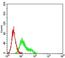 DC-SIGN/CD209 Antibody (5C2A6) - BSA Free, Novus Biologicals 0.1 ml; Unconjugated:Antibodies,
