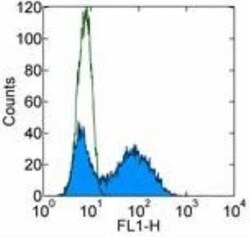 DC-SIGN/CD209 Antibody (LWC06) - BSA Free, Novus Biologicals:Antibodies:Primary