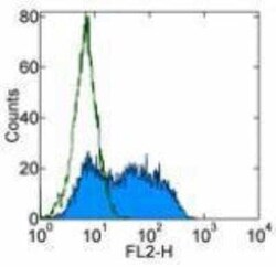 DC-SIGN/CD209 Antibody (LWC06) - BSA Free, Novus Biologicals:Antibodies:Primary