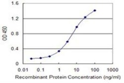DCLK1 Antibody (6H4), Novus Biologicals 0.1 mg | Buy Online | Novus Biologicals | Fisher Scientific