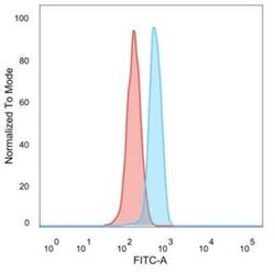 DCP2 Mouse anti-Human, Clone: PCRP-DCP2-1D6, Novus Biologicals 20 &mu;g | Buy Online | Bio-Techne | Fisher Scientific