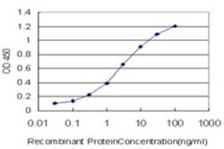 DDX3 Antibody (2D7), Novus Biologicals 0.1 mg | Buy Online | Novus Biologicals | Fisher Scientific