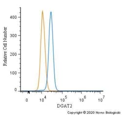 DGAT2 Antibody - BSA Free, Novus Biologicals:Antibodies:Primary Antibodies